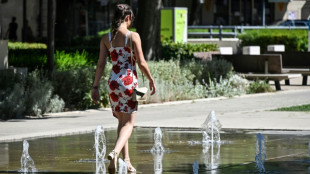 Canicule, pic et vague de chaleur, quelles différences?