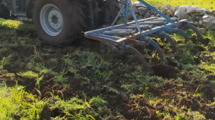 Corte Conti, nel 2022-23 segnalate frodi in agricoltura per 137 milioni