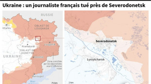 Un journaliste fran&ccedil;ais tu&eacute; en Ukraine