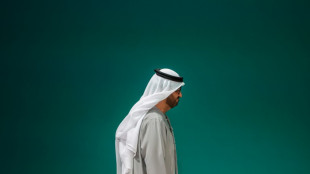 Des climatologues tr&egrave;s sceptiques sur l'accord conclu &agrave; la COP28