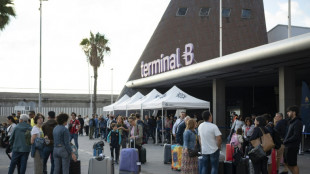 Un nuevo registro de viajeros solivianta al sector tur&iacute;stico en Espa&ntilde;a