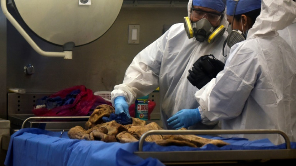 "Los muertos no paran de llegar": la violencia satura las morgues de M&eacute;xico