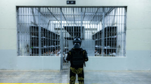 EEUU imputa a 27 presuntos miembros de banda venezolana Tren de Aragua