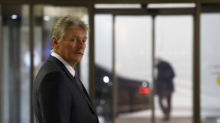 Cremlino, 'non previsto vertice con Trump prima del 2026'