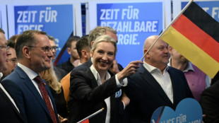 Germany move against far-right AfD sets off US quarrel