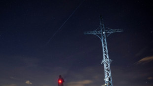 El Kremlin y Musk desmienten que el ej&eacute;rcito ruso use internet satelital de Starlink