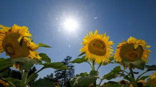 M&uuml;digkeit und Schlafprobleme: Jeder Vierte leidet unter Hitze 