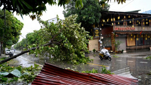 Typhoon death toll rises in Vietnam as downed trees hamper rescuers