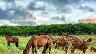 La actividad de China frente a Taiw&aacute;n alarma a una remota isla japonesa