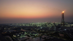 La AIE rebaja su previsión de crecimiento de la demanda mundial de petróleo