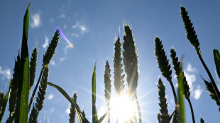 Schulze will bei G7-Treffen globalen Pakt gegen den Hunger beschlie&szlig;en