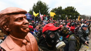 Le 6 janvier 2021, le jour o&ugrave; la d&eacute;mocratie am&eacute;ricaine a trembl&eacute;