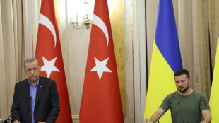Guterres und Erdogan warnen bei Ukraine-Besuch vor Atom-Katastrophe 