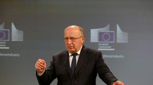 La UE deber&iacute;a considerar crear una fuerza militar conjunta, propone el comisario de Defensa