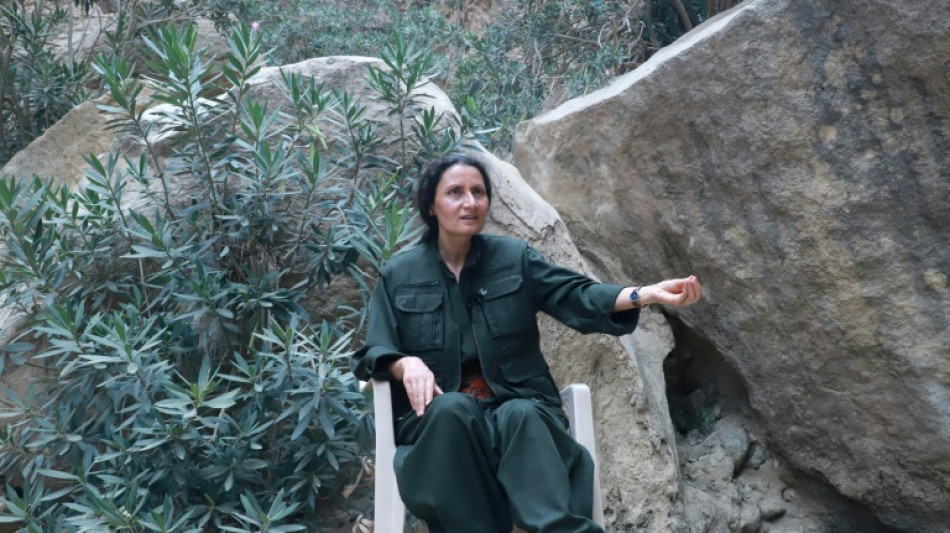 PKK militants want to enter Turkish politics: top commander