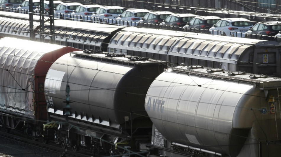 Bundespolizei holt Mann mit vier Promille von fahrendem G&uuml;terzug