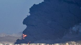 L'Arabie saoudite en proie &agrave; une nouvelle s&eacute;rie d'attaques des rebelles y&eacute;m&eacute;nites