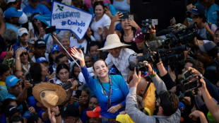 "Acepto": diplom&aacute;tico venezolano asume candidatura para enfrentar a Maduro