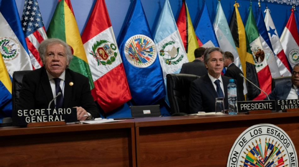 Dos tercios de pa&iacute;ses de las Am&eacute;ricas reafirman en OEA apoyo a Ucrania