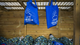 Pa&iacute;ses escandinavos impulsan la ense&ntilde;anza preescolar al aire libre