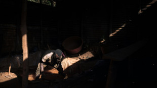 Belgian museum blocks US firm's access to DRC mining files