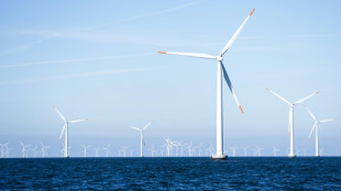 US halts work on huge, nearly complete offshore wind farm