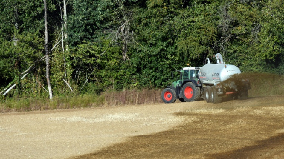 Anh&auml;nger kippt in Bayern um: 8000 Liter G&uuml;lle verteilen sich auf Stra&szlig;e