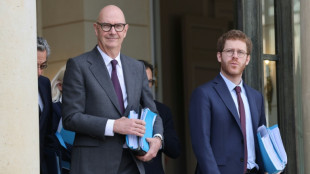 Le gouvernement critique un budget RN "en carton-p&acirc;te", qui "raserait gratis"