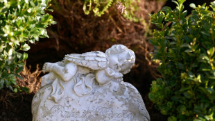 Sterbef&auml;lle im Oktober deutlich &uuml;ber Mittelwert der Vorjahre