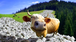 Solu&ccedil;&atilde;o EUDR da Source Intelligence simplifica due diligence em rela&ccedil;&atilde;o ao desmatamento