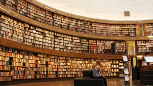 Karbon-X und der Banff Half Marathon feiern 2025 mit verifizierten Klimaschutzbeiträgen, die den Werten der Rocky Mountains Rechnung tragen